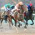 Stop The Presses! Suddenbreakingnews Takes Southwest Stakes